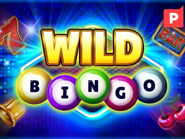356bet Bingo Selvagem